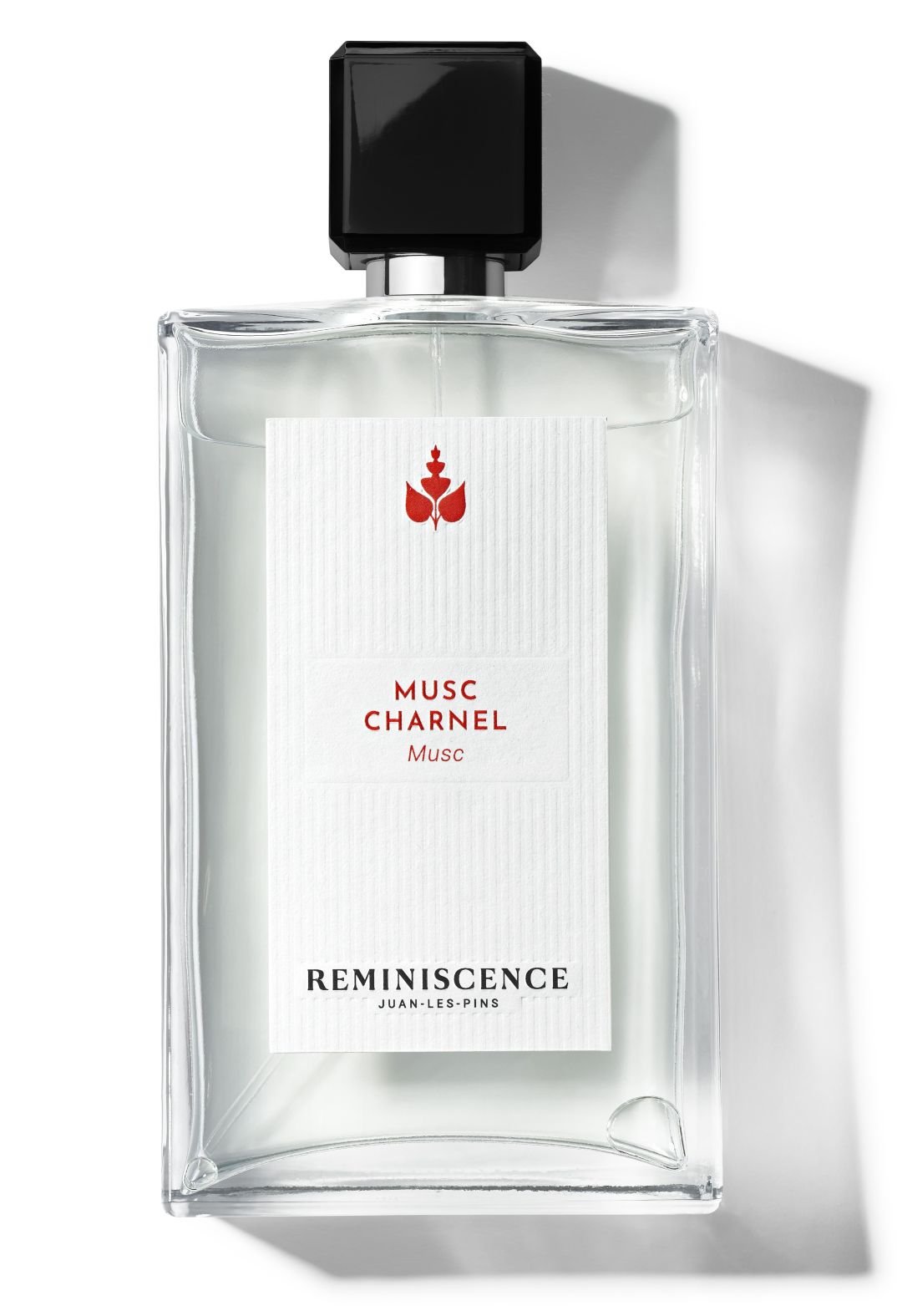 profumi e fragranze di primavera