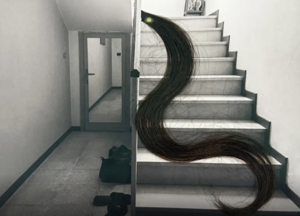 mostra Love is in the Hair: capelli in fuga su una scala