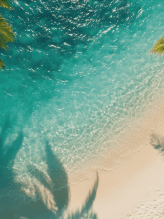 Guida ai profumi artistici dell’estate 2025 | Colorami Magazine