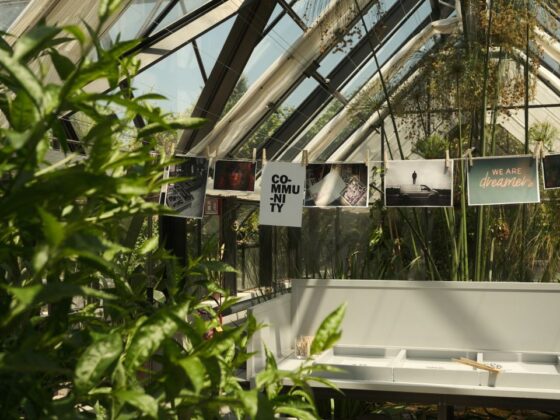 Talent Green House 2026, aperte le candidature dei parrucchieri | Colorami Magazine