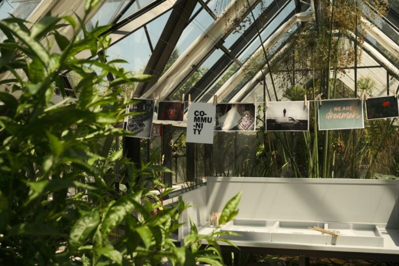 Talent Green House 2026, aperte le candidature dei parrucchieri | Colorami Magazine