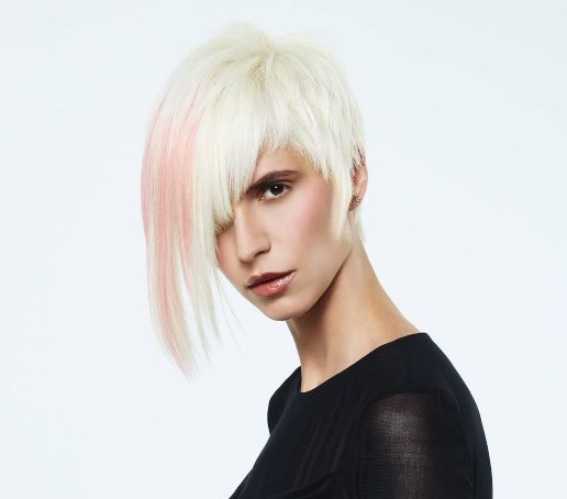 soft crop Hairevolution by Framesi