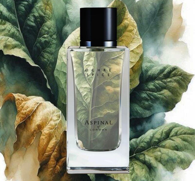 I 9 profumi dell’autunno inverno 2026-27 e lo zafferano | Colorami Magazine